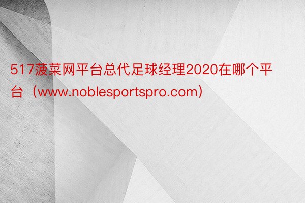 517菠菜网平台总代足球经理2020在哪个平台（www.noblesportspro.com）