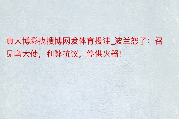 真人博彩找搜博网发体育投注_波兰怒了：召见乌大使，利弊抗议，停供火器！